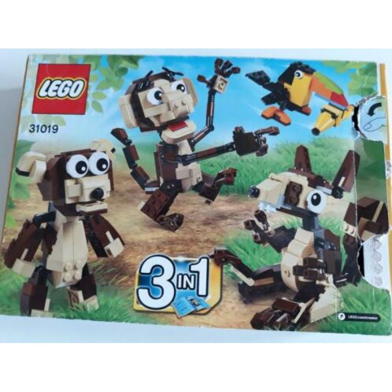 Zgan in doos : LEGO CREATOR bosdieren 31019