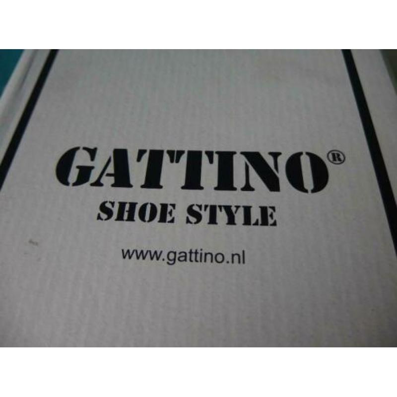 Gattino maat 33