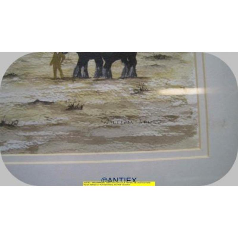 9691 - aquarel paarden - William James - € 35