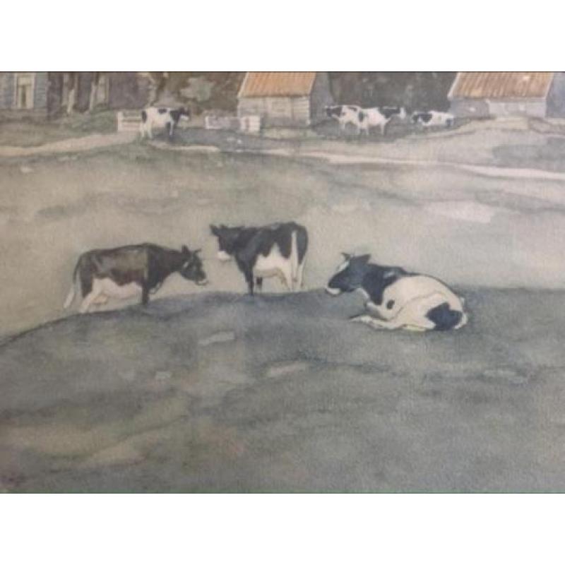 Aquarel/litho Ype Wenning