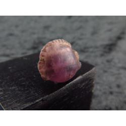 Egyptian Amethyst Cowrie shell amulet