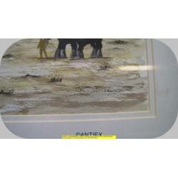 9691 - aquarel paarden - William James - € 35