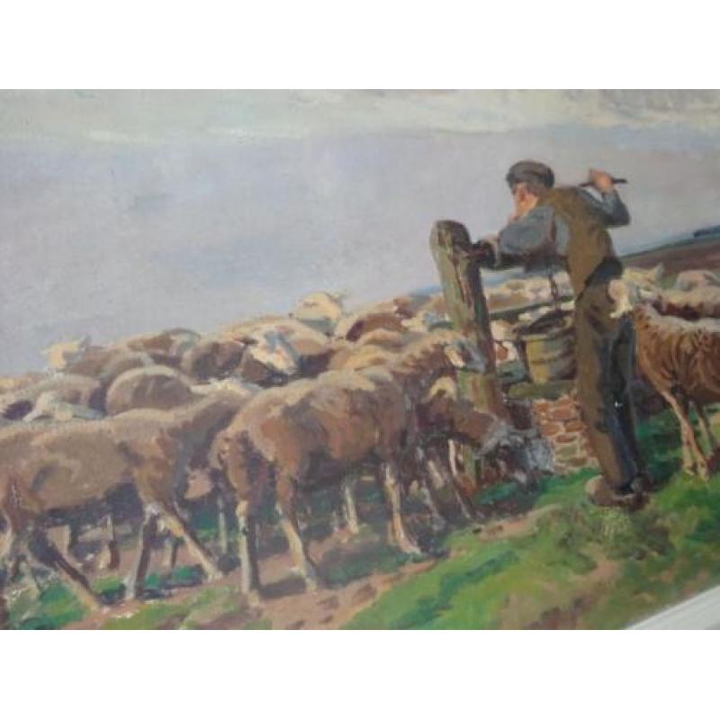 Irma van Eysinga: Boerenjongen met schapen op texel-1918