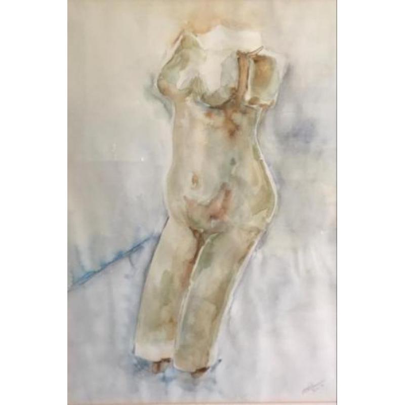 Aquarel torso naakt 45cm x 66cm